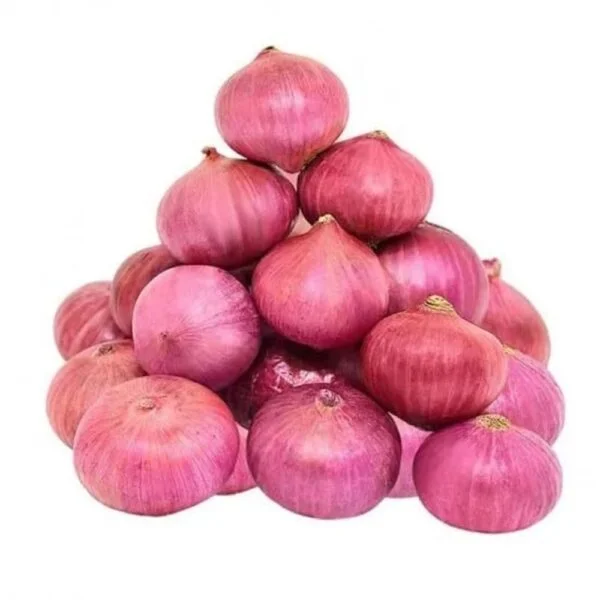 পেঁয়াজ